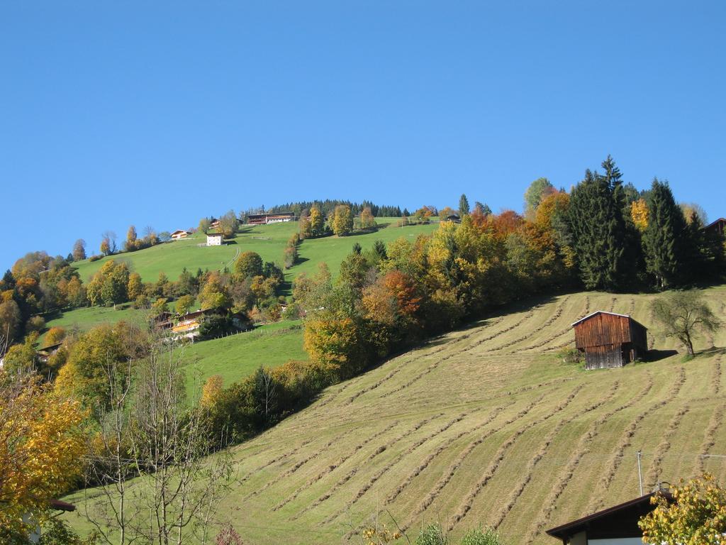 Appartement Gwiggner Niederau Zewnętrze zdjęcie