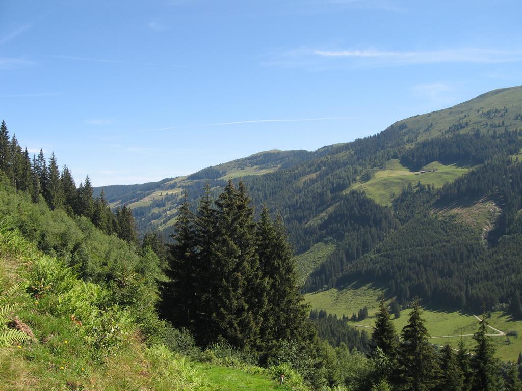 Appartement Gwiggner Niederau Zewnętrze zdjęcie